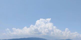 Best Hiking Trails of the Andamans: Where Adventure Meets Paradise