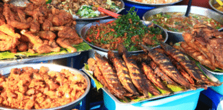 Kamorta Block Mela & Tribal Food Festival Showcases Culture, Cuisine and Community Unity