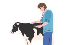 New Pashu Aushadhi Kendras Open to Provide Affordable Veterinary Drugs Across India