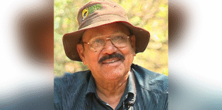 Opinion: When ‘Vikas’ Comes at the Cost of a Forest’s Soul