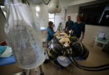 India Rolls Out First Guidelines For Animal Blood Banks