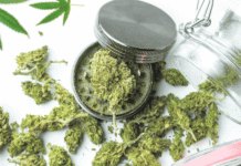 44-Year-Old Arrested for Cultivating 21 Ganja Plants in Little Andaman