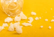 Major Methamphetamine Seizure Exposes Drug Trafficking Threat in Andaman Islands