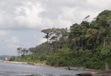 Energy Crisis, Geopolitical Upheaval Make Great Nicobar Port Central to India’s Indian Ocean Strategy