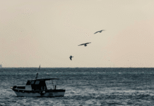 War in West Asia Leaves Hundreds of Tamil Nadu Fishermen Stranded in Iran