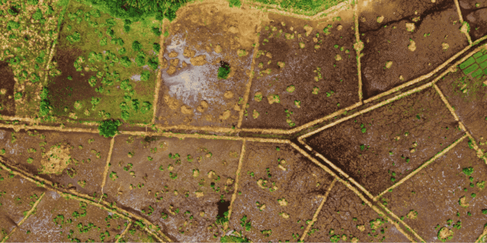 Land Revenue Regulations and Mines and Mineral Rules.