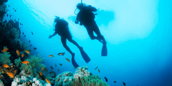 Andaman scuba diving guidelines