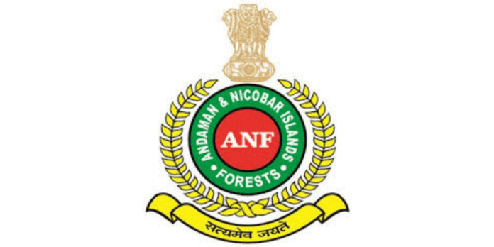 The Forest Department