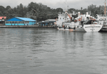 Andaman Shipping Services Introduce Round-the-Clock Harbour Pass Booking
