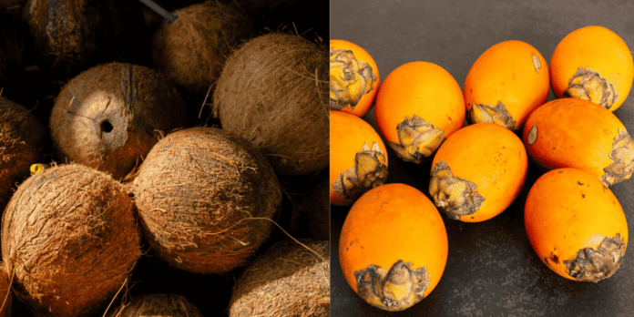 small coconut and arecanut farmers