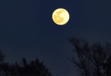 Lunar Eclipse Today To Offer Brief Viewing Window in Parts of India