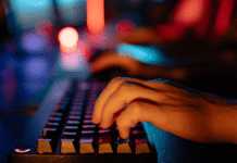 Cyber Police Detect Identity Misuse in False LG Helpdesk Grievances, FIR Registered in A&N
