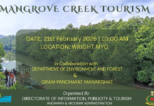 Mangrove Creek Tourism Event to Highlight Island Ecology