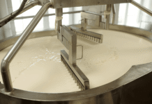 Field Demonstration Highlights Income Potential in Milk Processing