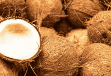 Jute MSP Hike Spotlights Opportunity to Build Andaman’s Coconut Fibre Economy