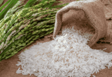 India Named ‘Country of the Year’ at BIOFACH 2026 Organic Trade Fair