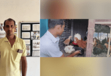 From Labourer to Poultry Farmer: Success Story from Little Andaman