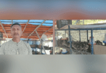 Sippighat Farmer Turns Terrace into Profitable Quail Farming Unit