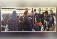 Andaman Trains First Batch of Para-Vets in Artificial Insemination to Boost Dairy Productivity