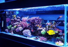 Andaman Fisheries Museum Shut for Maintenance and Infrastructure Upgrade