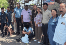 Ganja Recovered From Passenger Luggage at Sri Vijaya Puram Airport, One Held