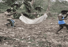 Woman missing for days found inside forest in North Andaman district