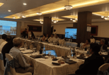 ANIIMS Hosts NMHS-2 Workshop to Improve Mental Health Infrastructure Across Islands