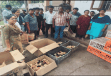 Backyard Poultry Farming Gains Momentum as Baratang Farmers Receive 580 Birds