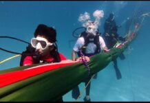 Teen Divers Steal Spotlight in Andamanβs Guinness Record Dive