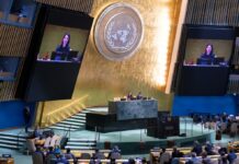 Five Nations Win Seats on UN Security Council