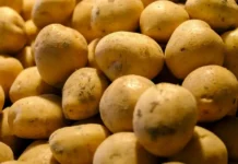Potato prices soar to Rs 180 a kg in Andaman, hitting poor households hardest